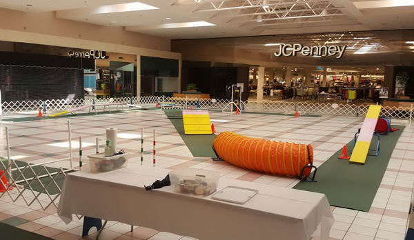 The Orchards Mall - Photo From Mall Website